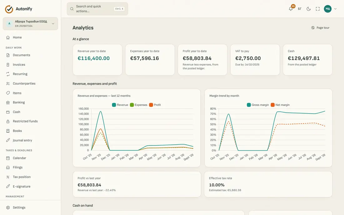 The Analytics screen — year-to-date income and expenses, VAT due, financial position, receivables aging and a cash-flow forecast